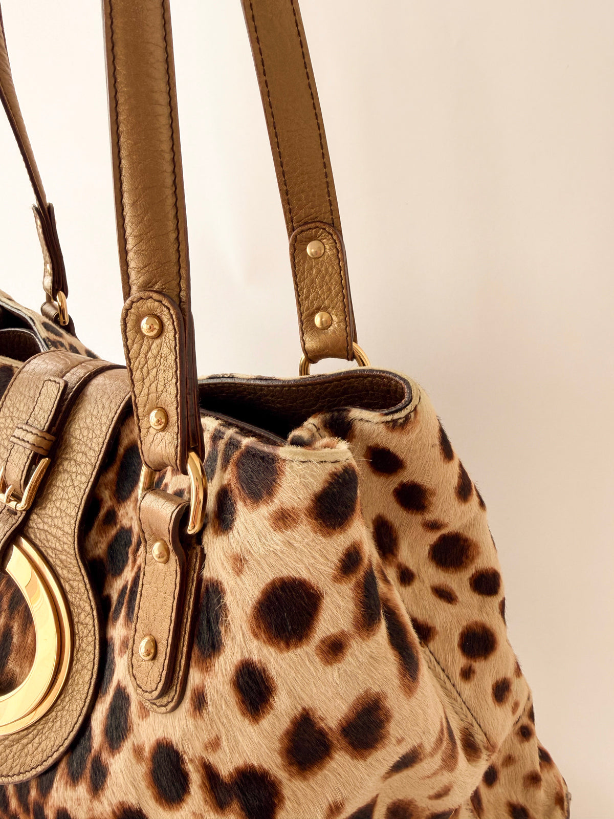 Dolce & Gabbana Ponyhair Leopard Print Shoulder Bag