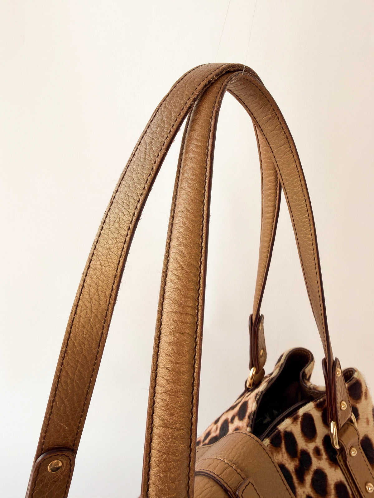 Dolce & Gabbana Ponyhair Leopard Print Shoulder Bag