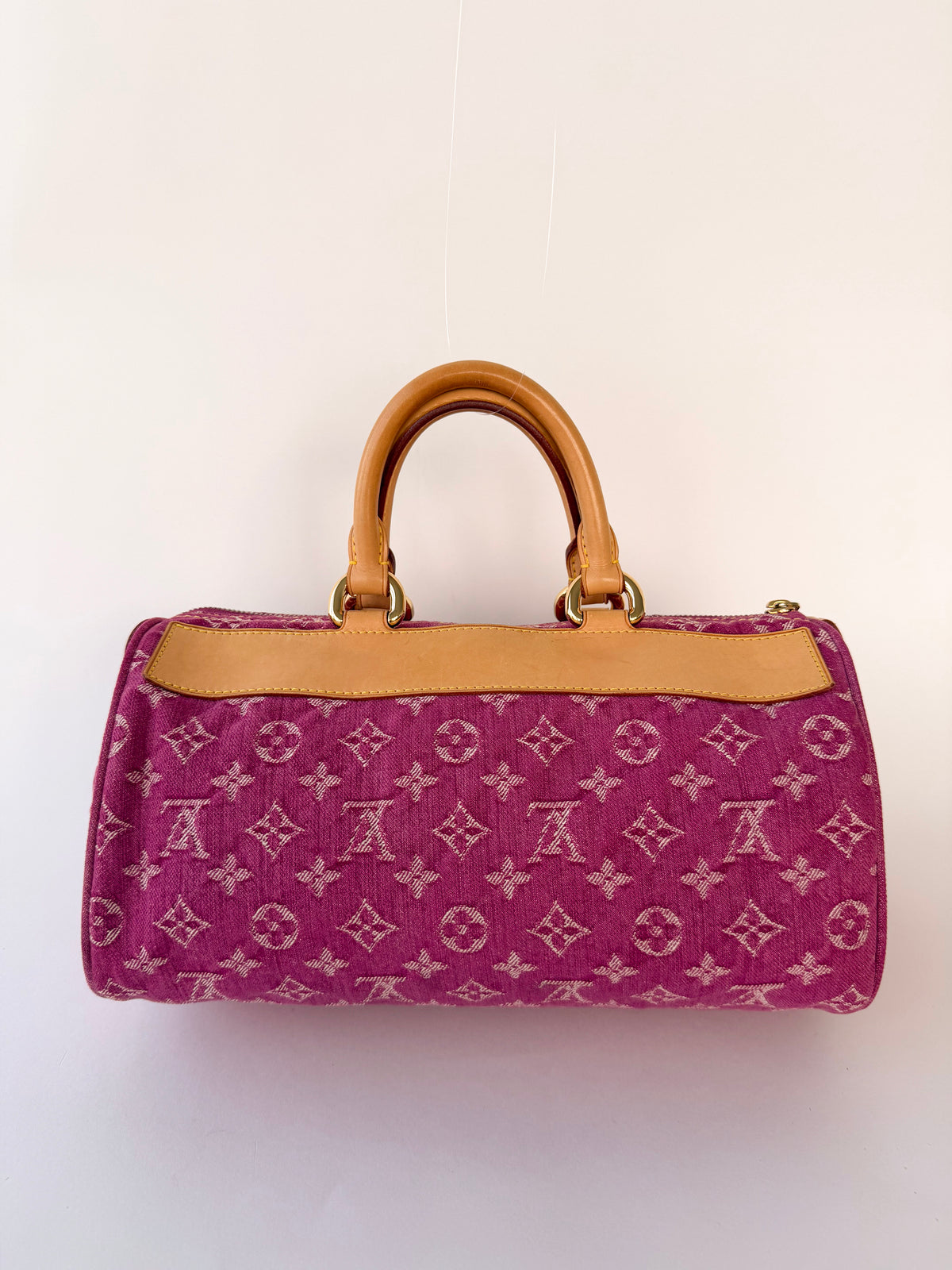 Louis Vuitton Monogram Denim Neo Speedy